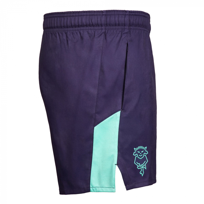 26/27 Training Shorts